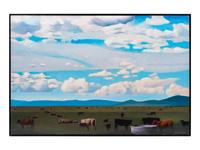 Pasture Land , 1997