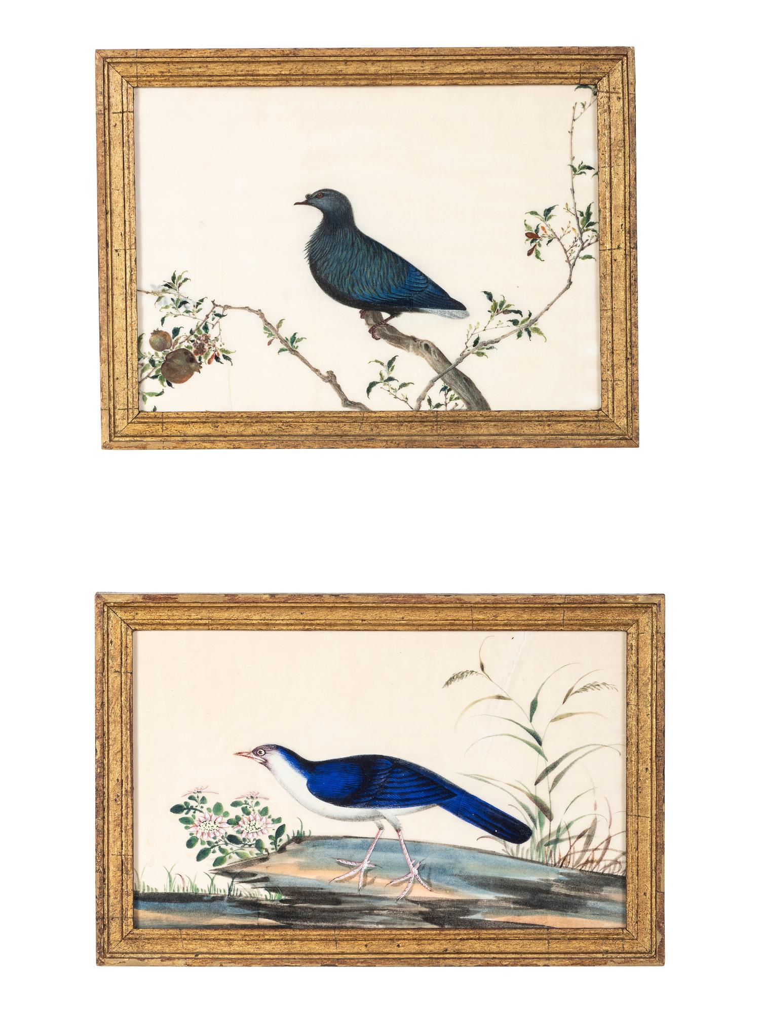Two Chinese Export Pith Paintings of Birds