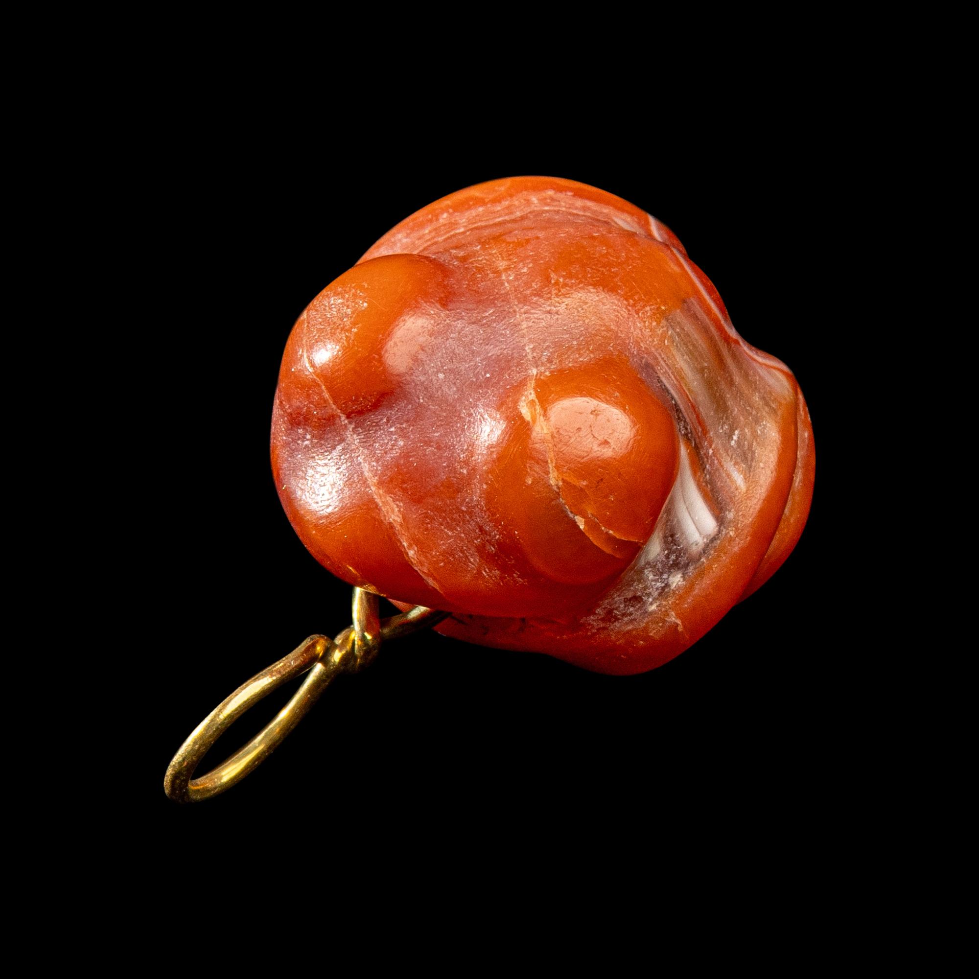 A Costa Rican Carnelian Zoomorphic Pendant