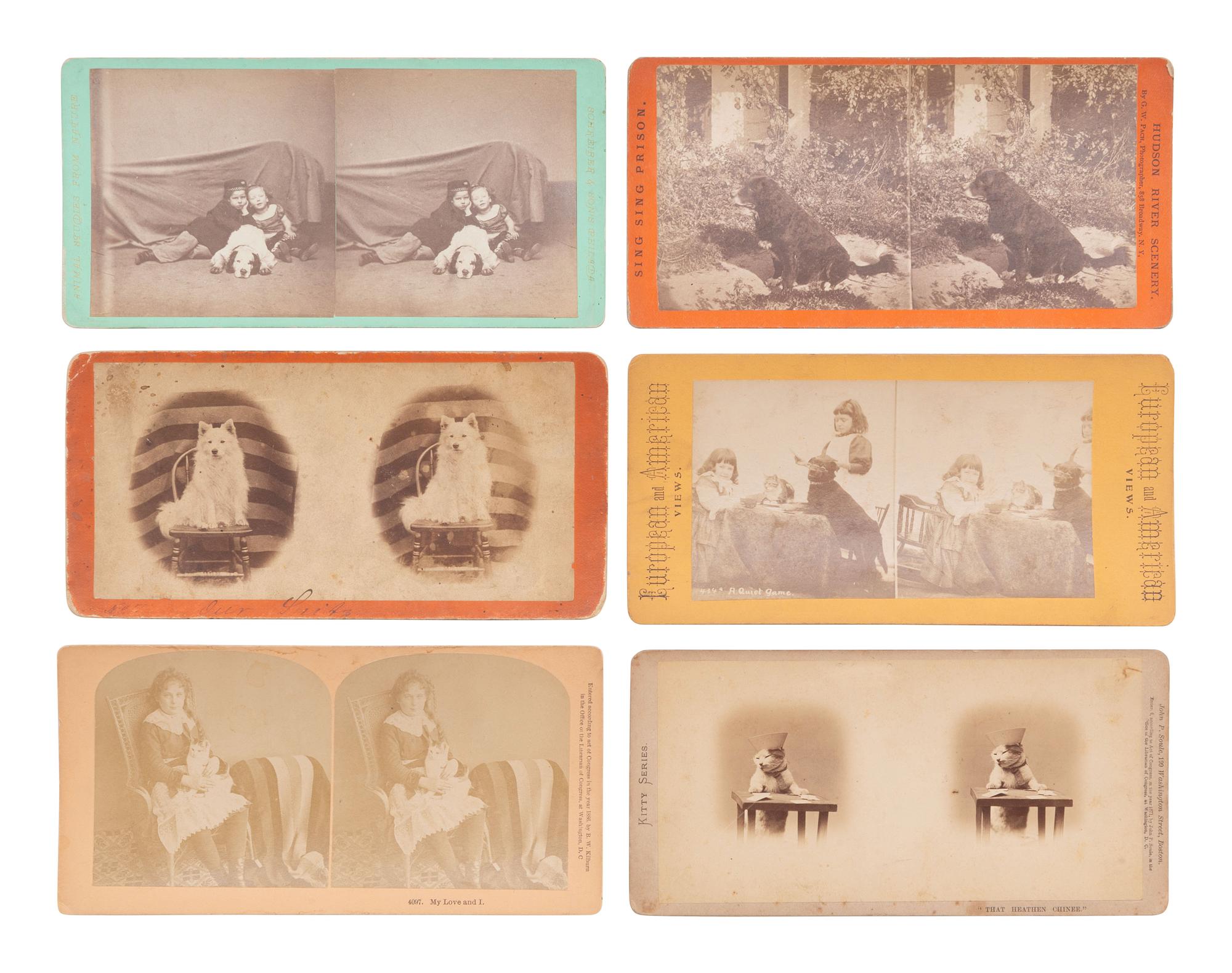 [EARLY PHOTOGRAPHY]. PAWS on parade! A collection of photographs featuring felines and canines.
