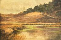 The Quiet Pond
