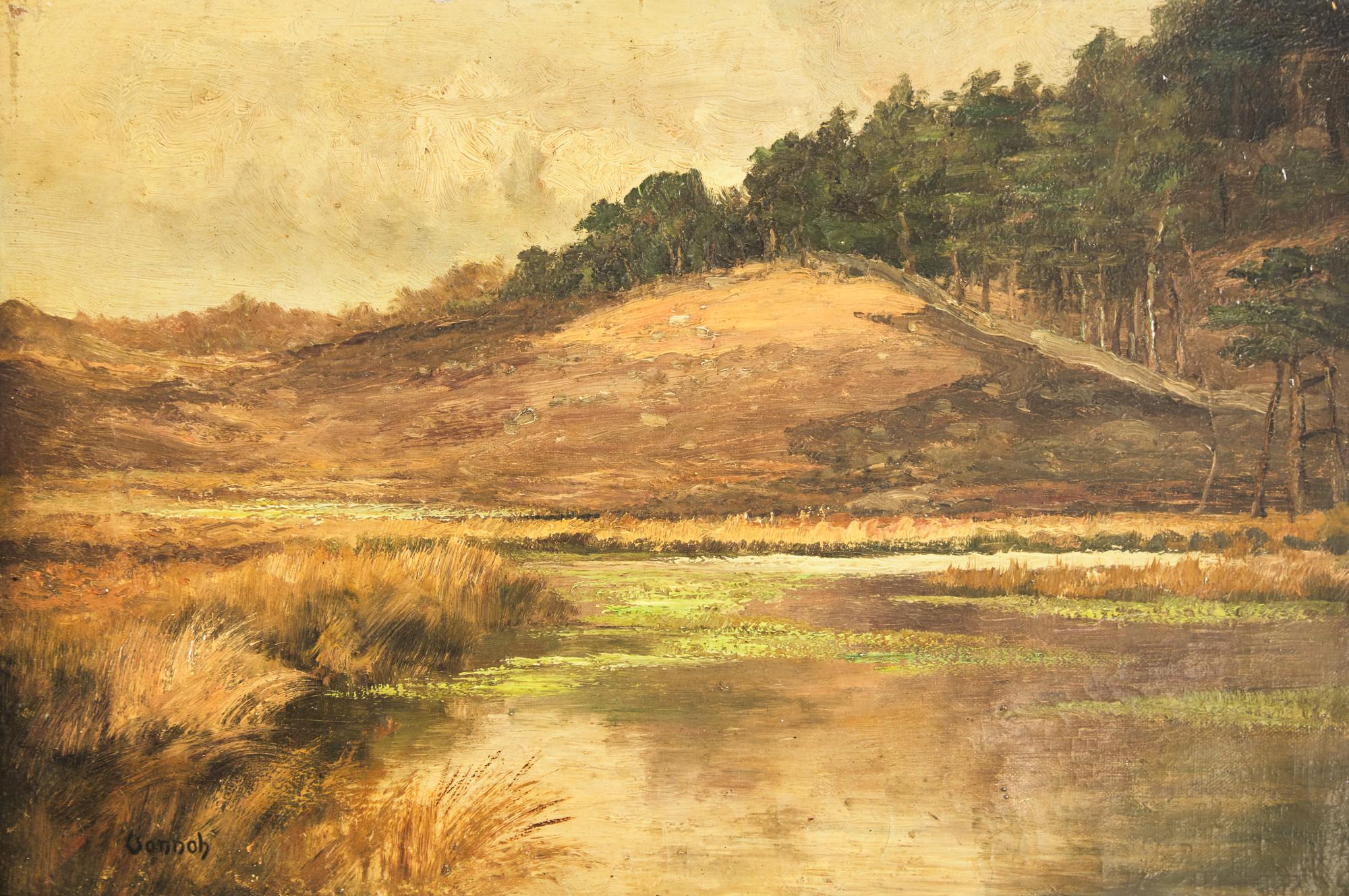 The Quiet Pond