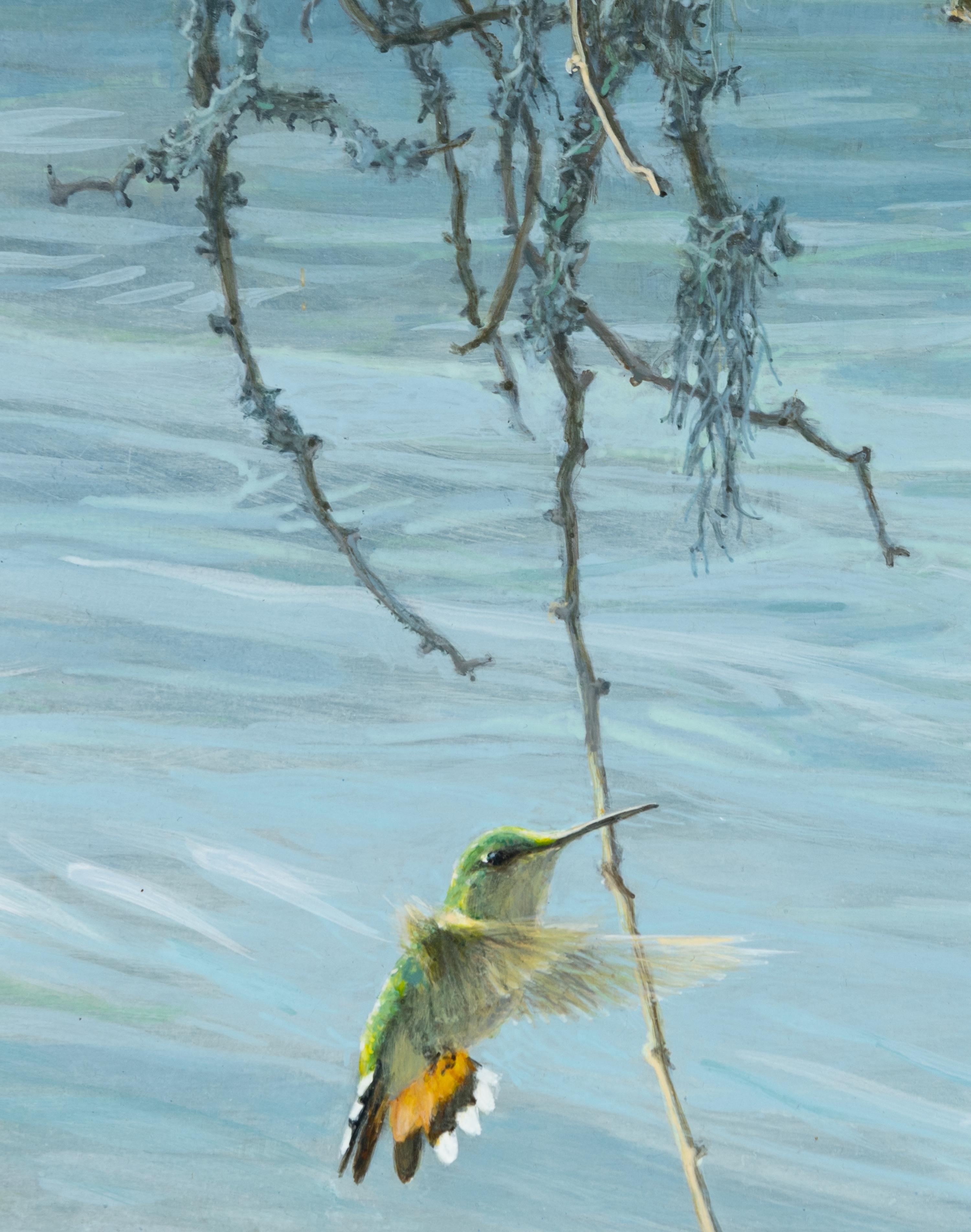 Hummingbirds