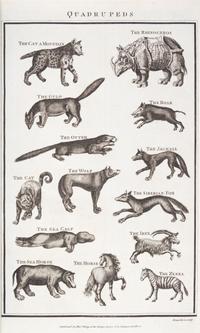 MILLAR, G.H. A New...System of Natural History... London, [1785] With 85 engraved plates.