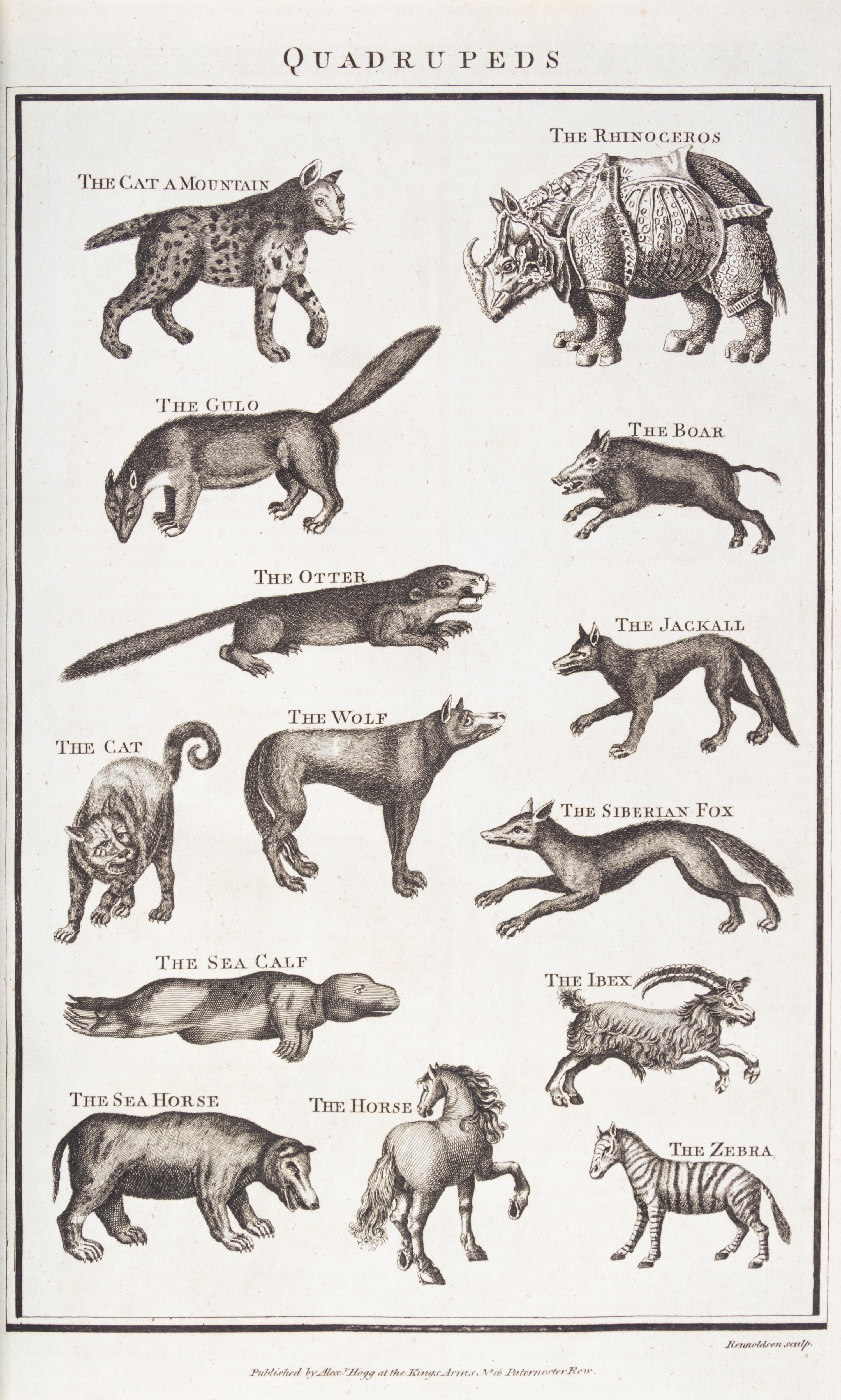 MILLAR, G.H. A New...System of Natural History... London, [1785] With 85 engraved plates.