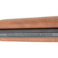 * Ruger 10/22 with Two Magazines and Tasco Optic