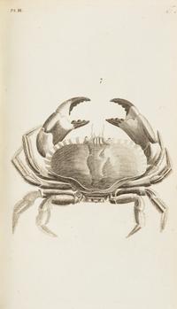 PENNANT, Thomas (1726-1798). British Zoology. Warrington: William Eyres for Benjamin White, 1776-1777.
