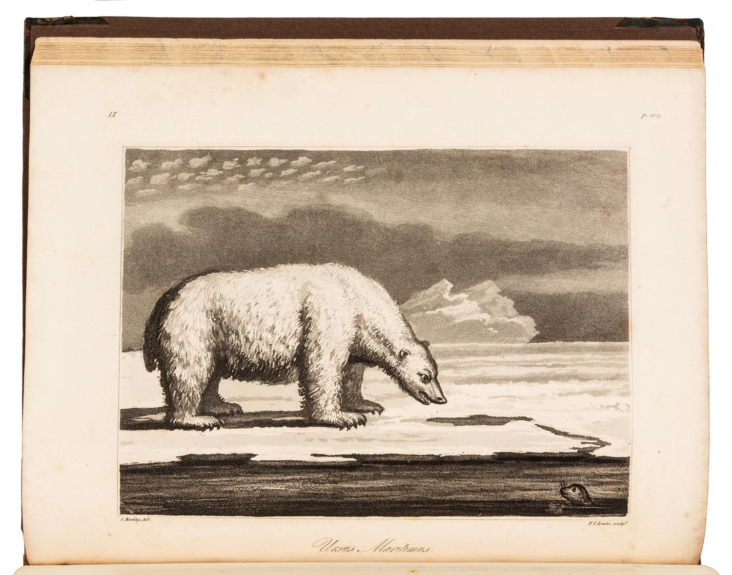 O'REILLY, Bernard. Greenland, The Adjacent Seas, and The North-West Passage to The Pacific Ocean. London, 1818. FIRST EDITION.