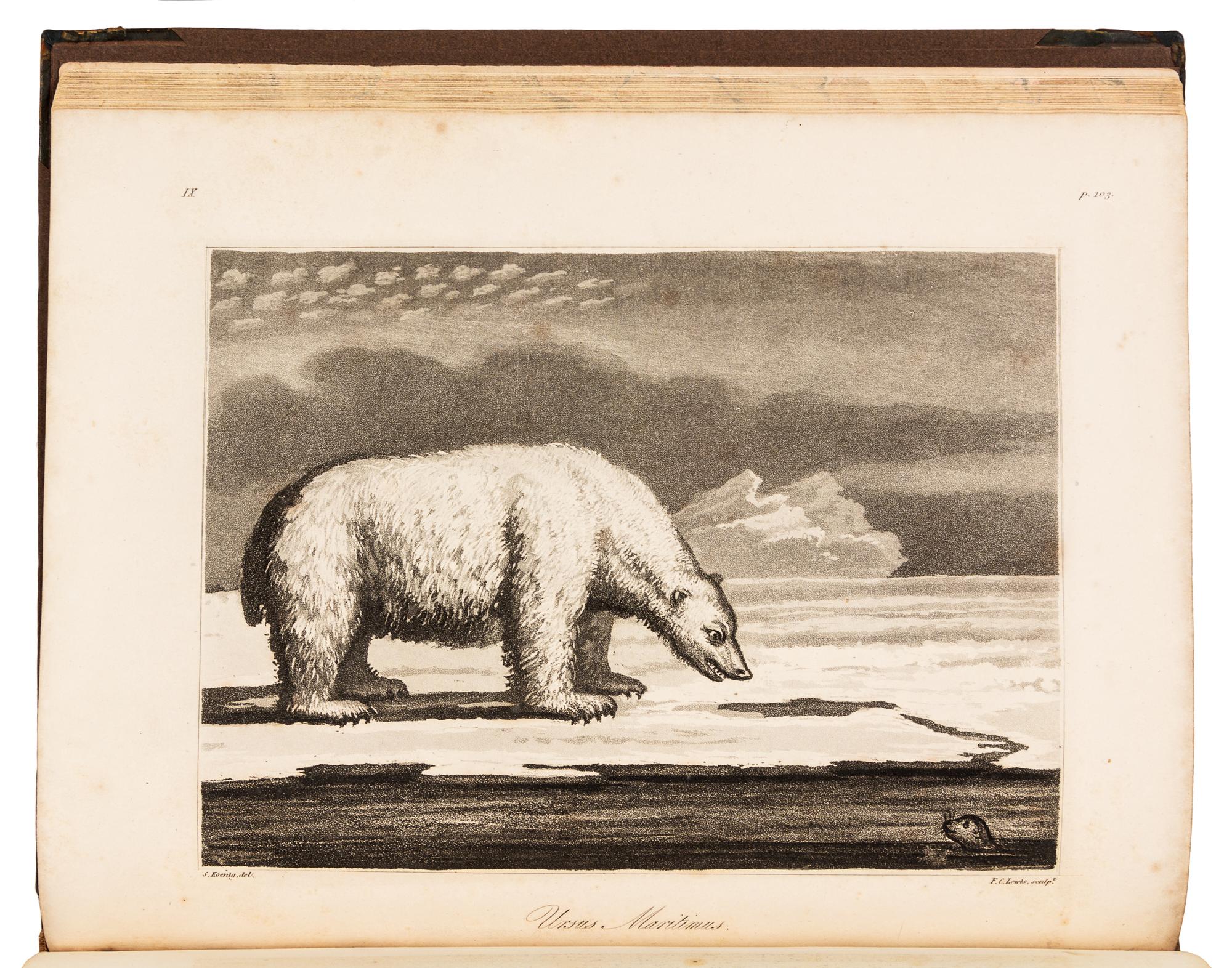O'REILLY, Bernard. Greenland, The Adjacent Seas, and The North-West Passage to The Pacific Ocean. London, 1818. FIRST EDITION.