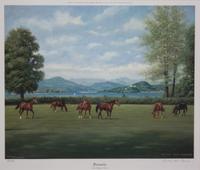 Nineteen Equestrian Prints