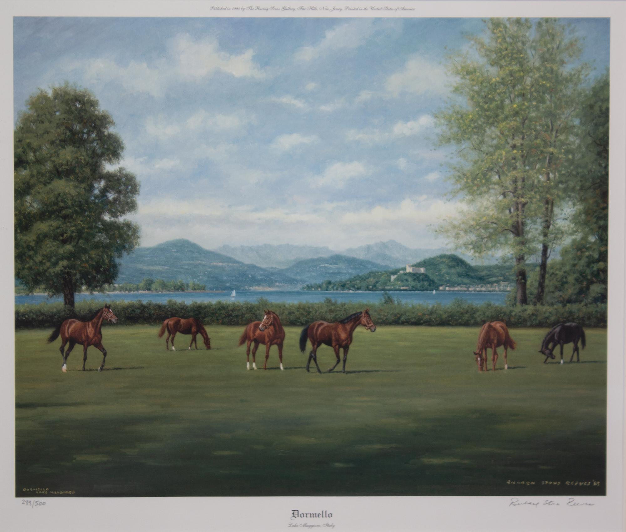 Nineteen Equestrian Prints