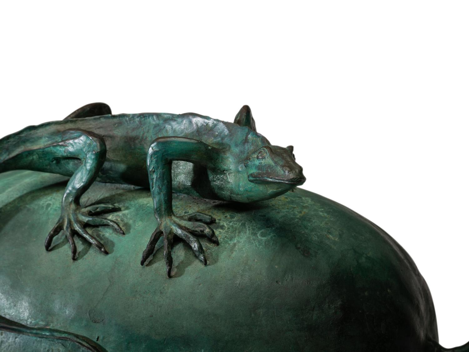 A Bronze Lizard and Drift Seed