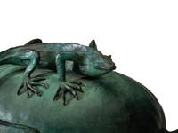 A Bronze Lizard and Drift Seed