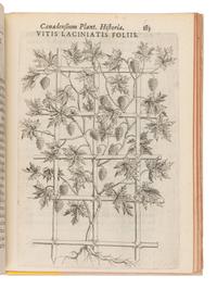 CORNUT, Jacques-Philippe (1606-1651). Canadensium Plantarum Historia Enchiridion Botanicum . Paris: Simonem Le Moyne, 1635.