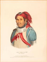 Three Hand-Colored Lithographs by McKenney and Hall