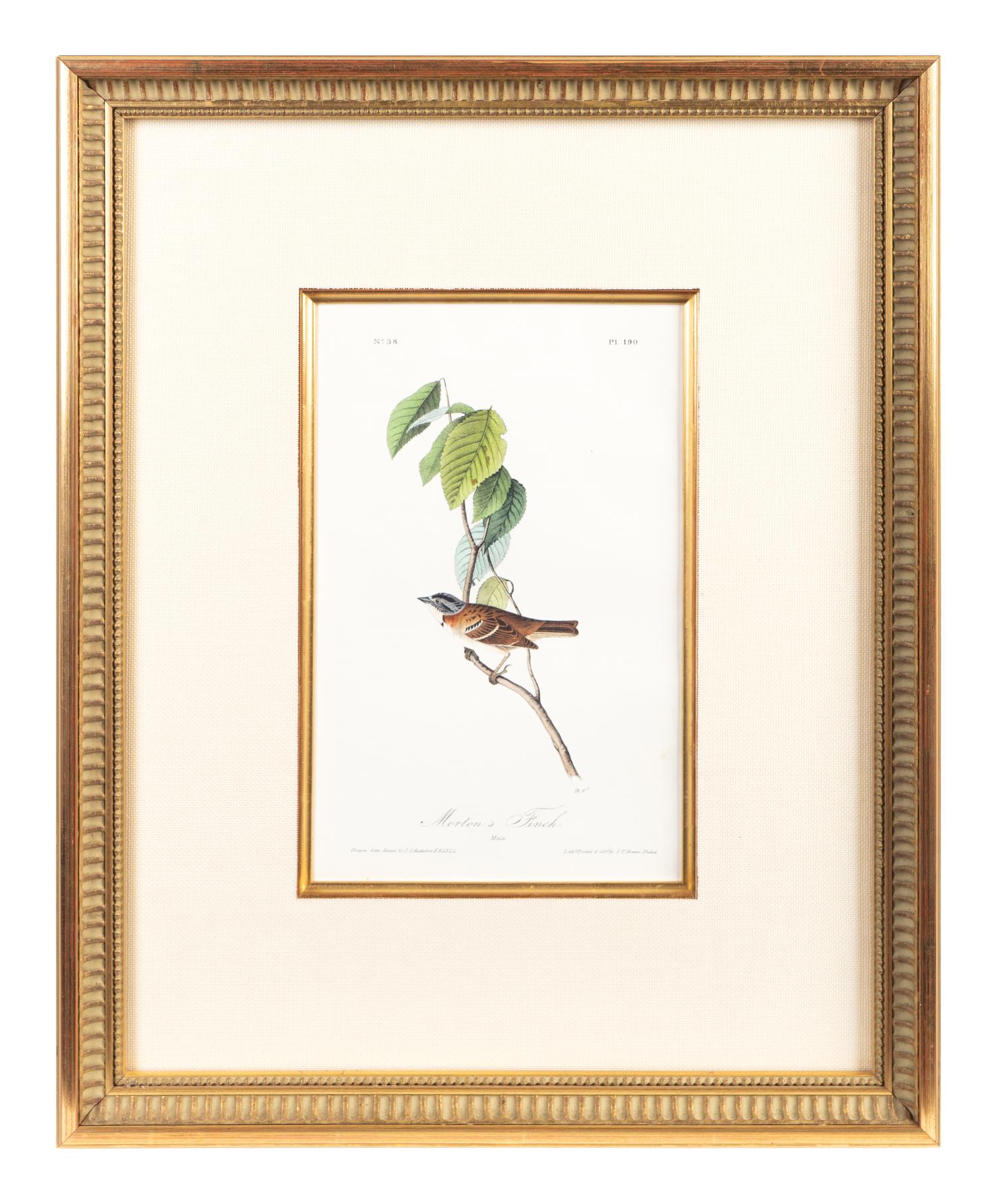 The Birds of America, Royal Octavo Edition, Bowen Edition