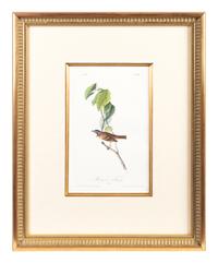 The Birds of America, Royal Octavo Edition, Bowen Edition