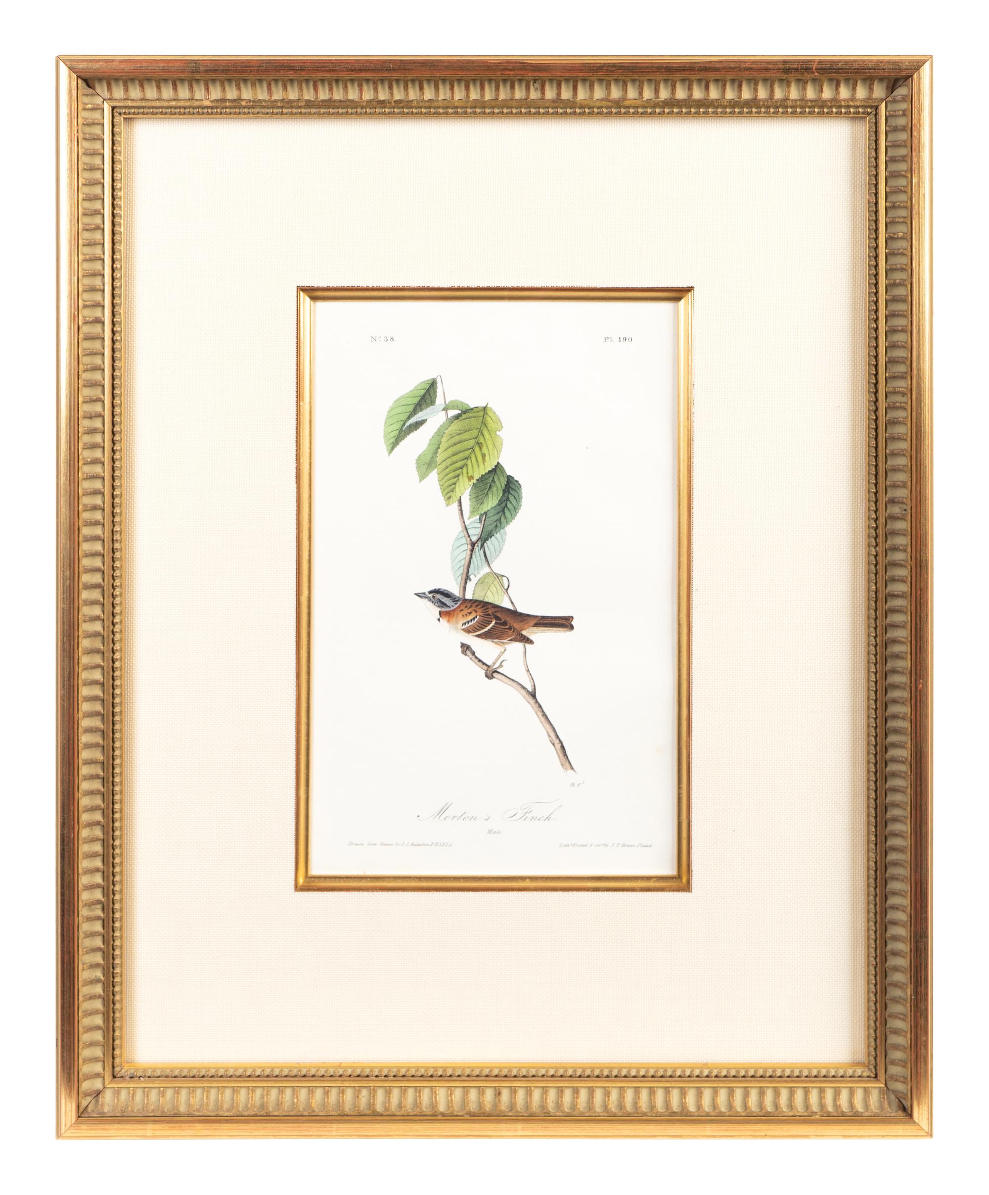 The Birds of America, Royal Octavo Edition, Bowen Edition