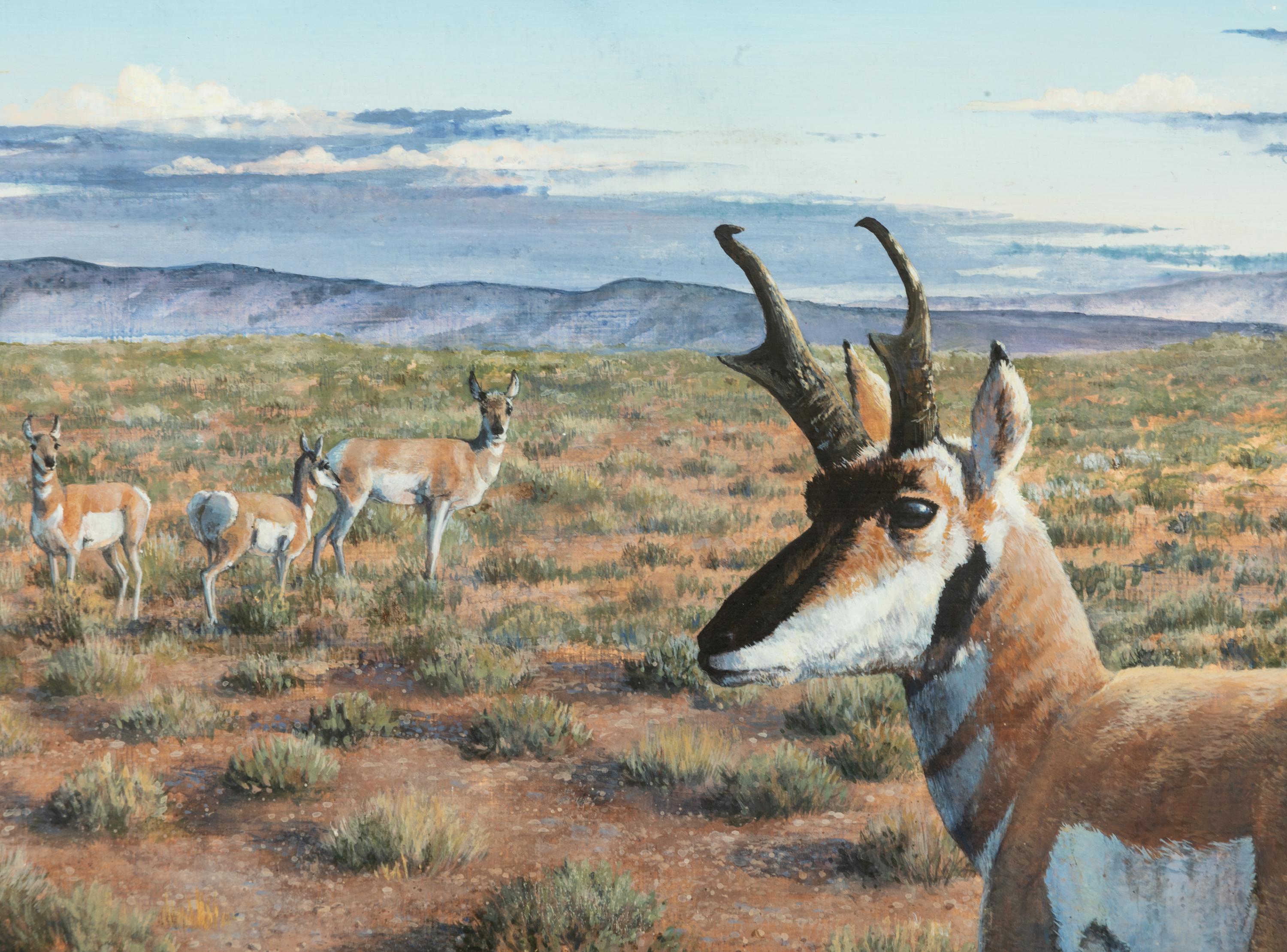 Desert Dwellers , 1995