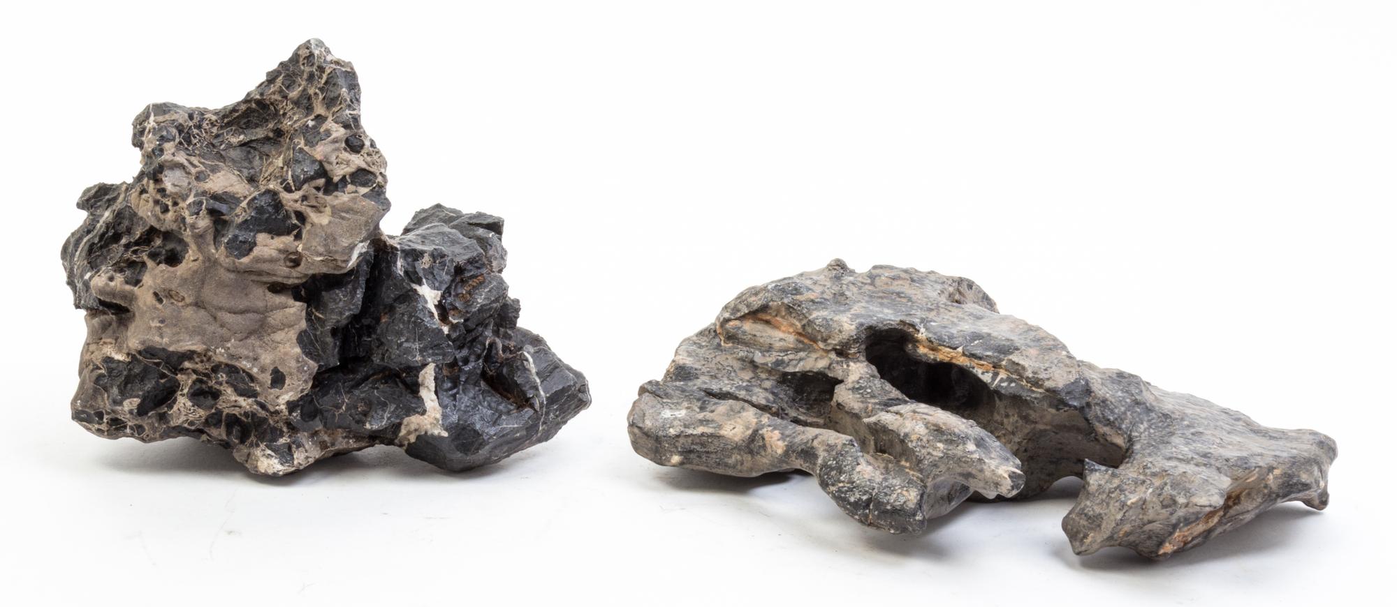 Two Scholar's Rocks Height of taller 11 3/4 inches.