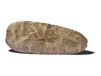 A Neolithic Flint Thin-Butted Axe