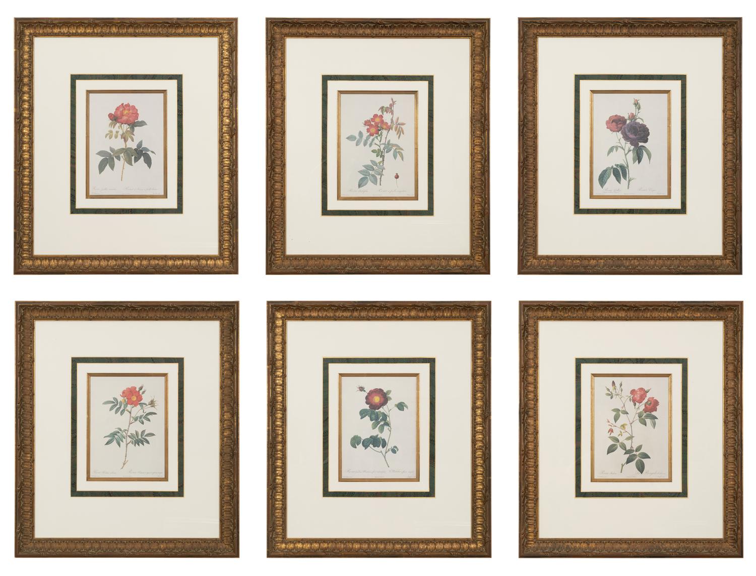 A Set of Six Chromolithographs of Roses after Pierre Joseph Redouté