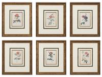 A Set of Six Chromolithographs of Roses after Pierre Joseph Redouté