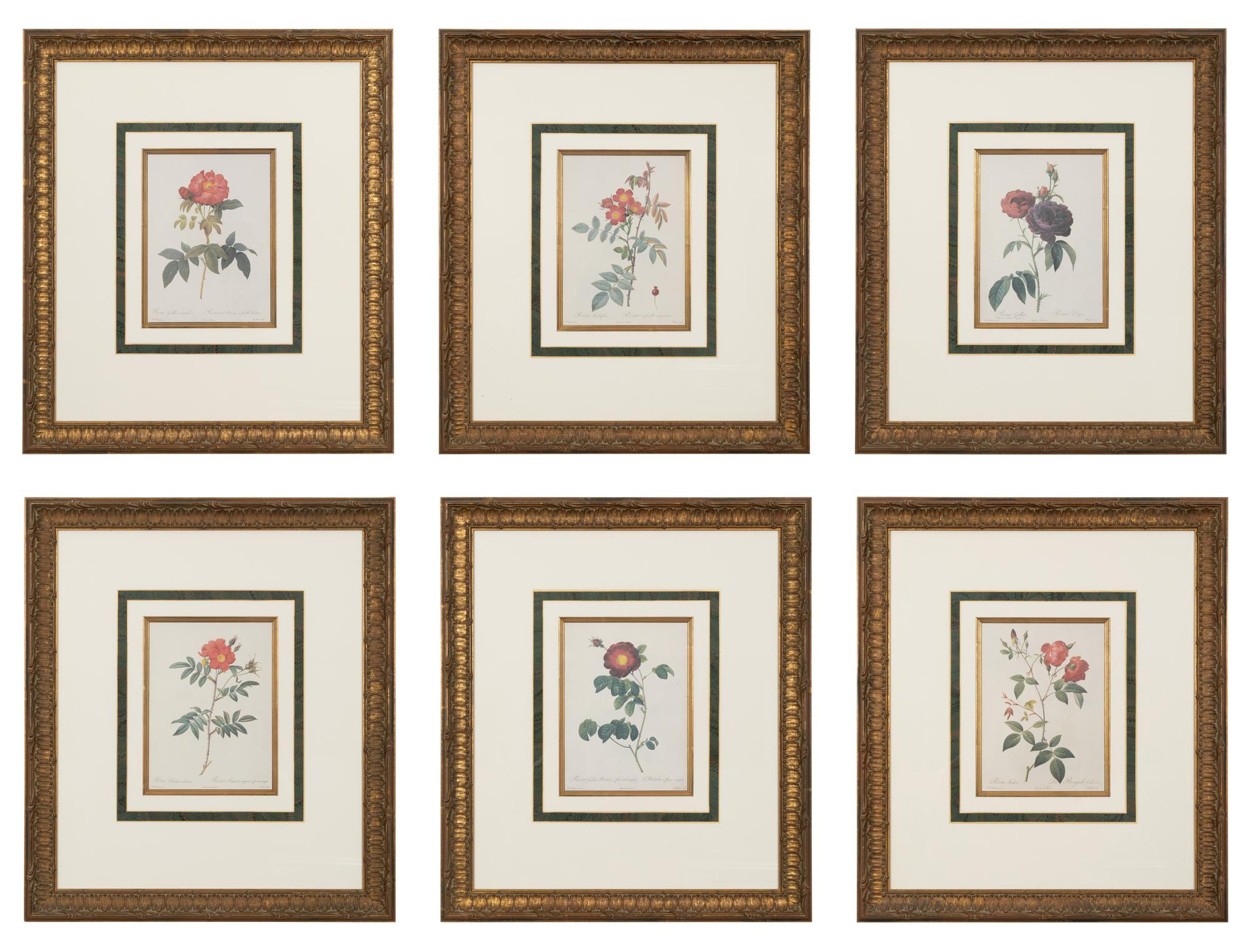 A Set of Six Chromolithographs of Roses after Pierre Joseph Redouté