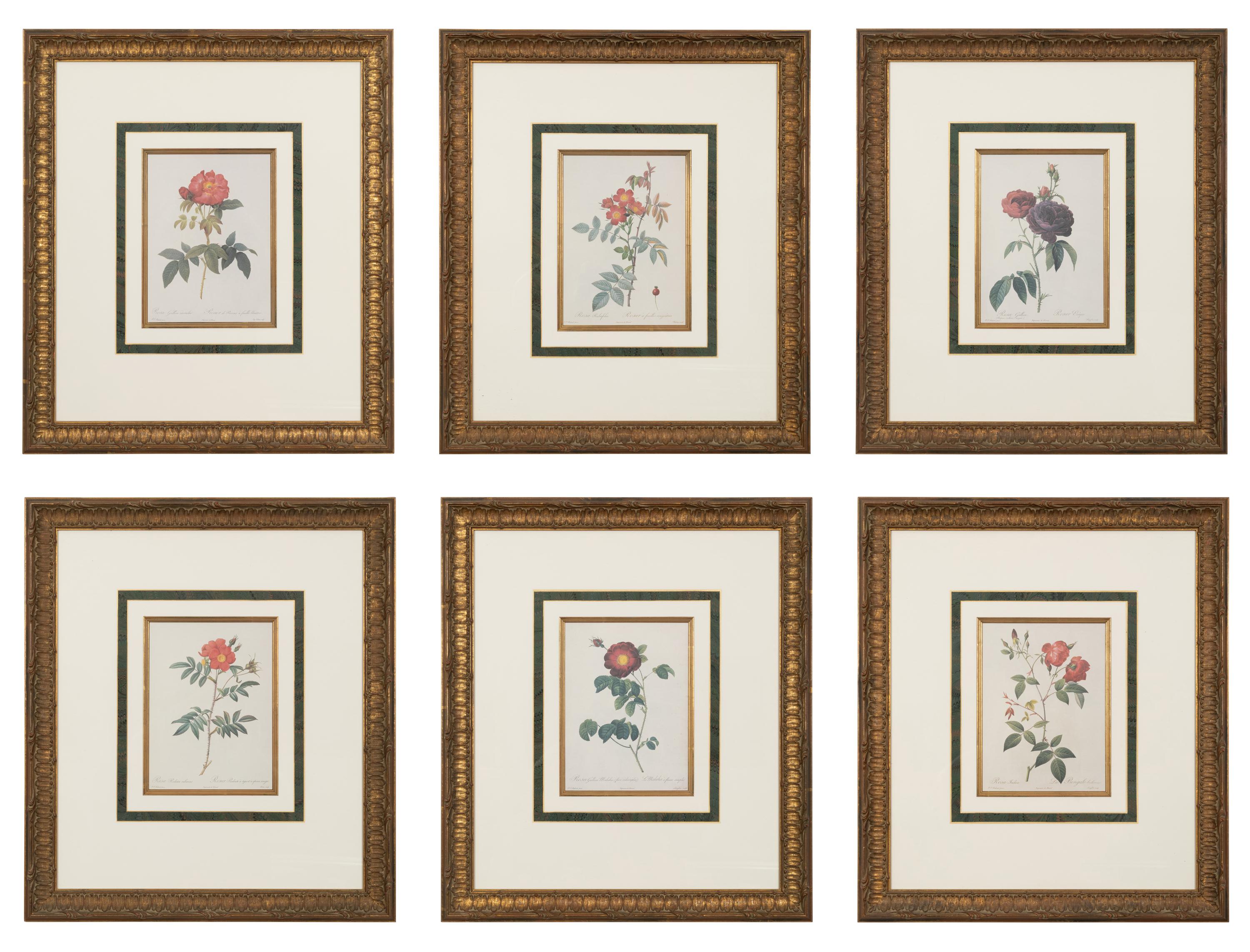 A Set of Six Chromolithographs of Roses after Pierre Joseph Redouté