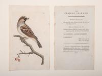 Eight Framed Avian Prints