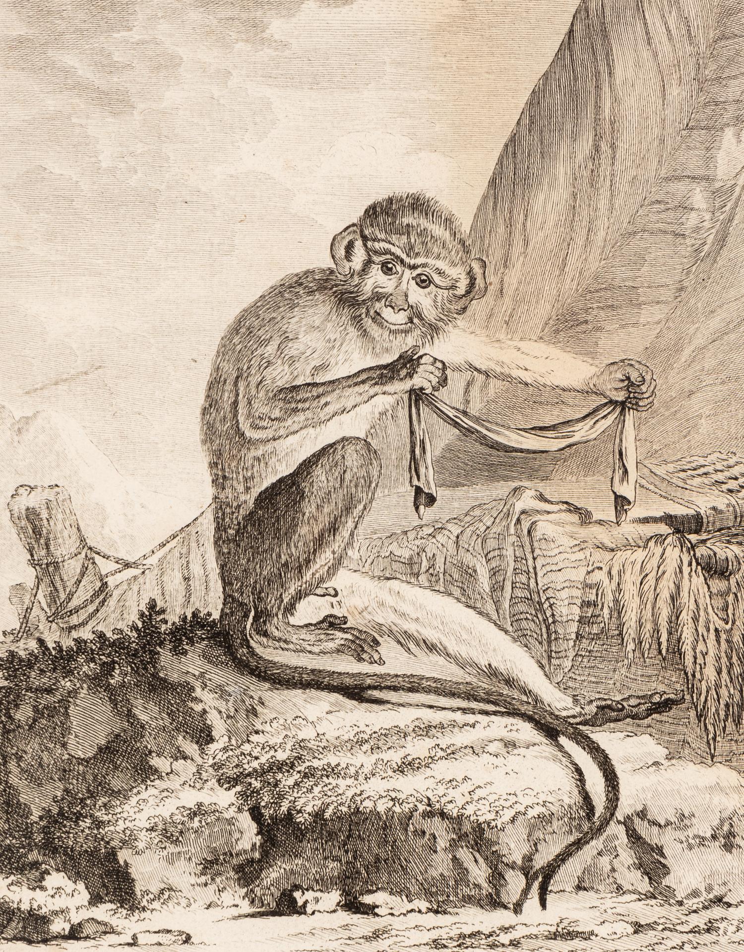 A Collection of Twelve Georges-Louis Leclerc Monkey Engravings from Histoire Naturelle