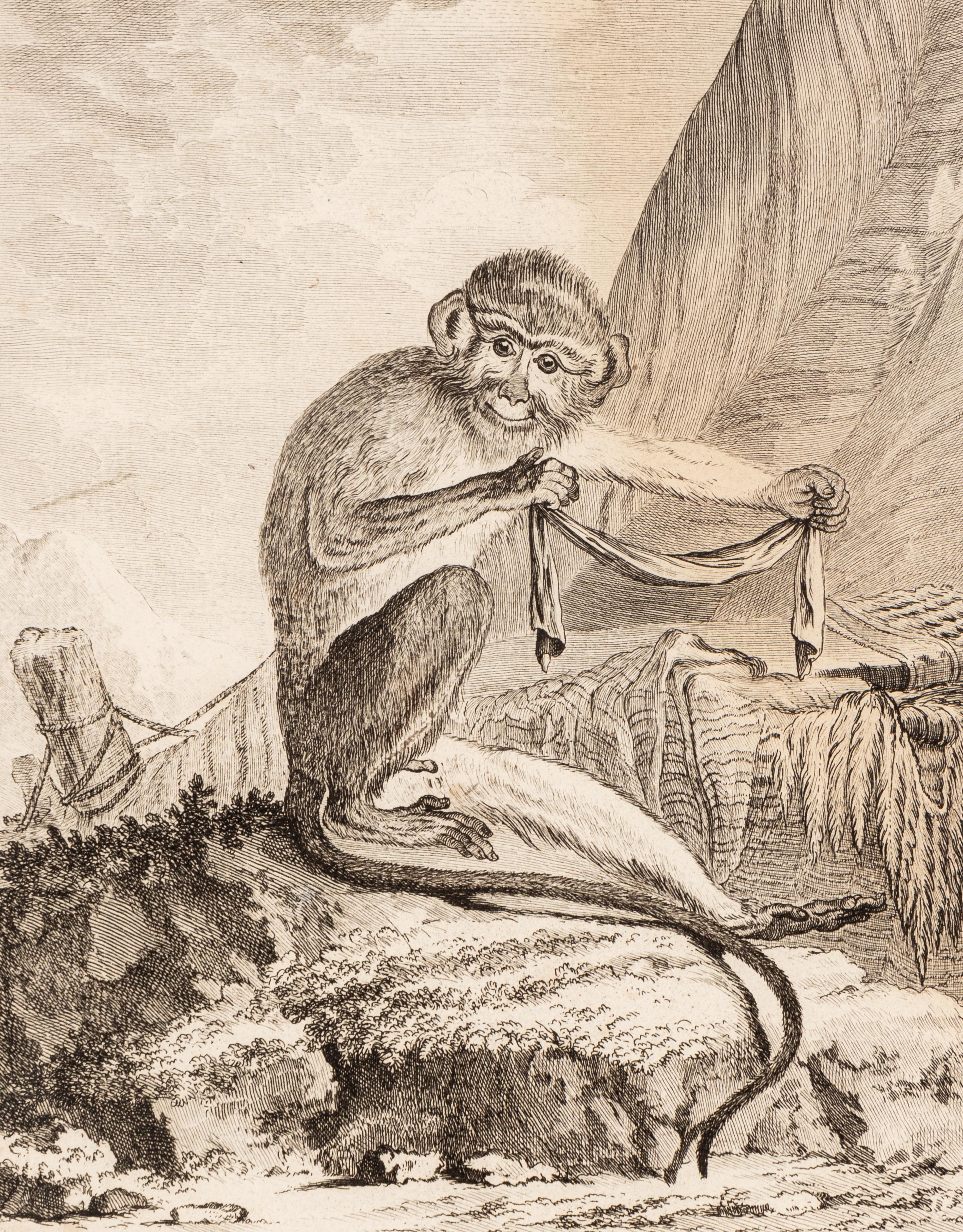 A Collection of Twelve Georges-Louis Leclerc Monkey Engravings from Histoire Naturelle