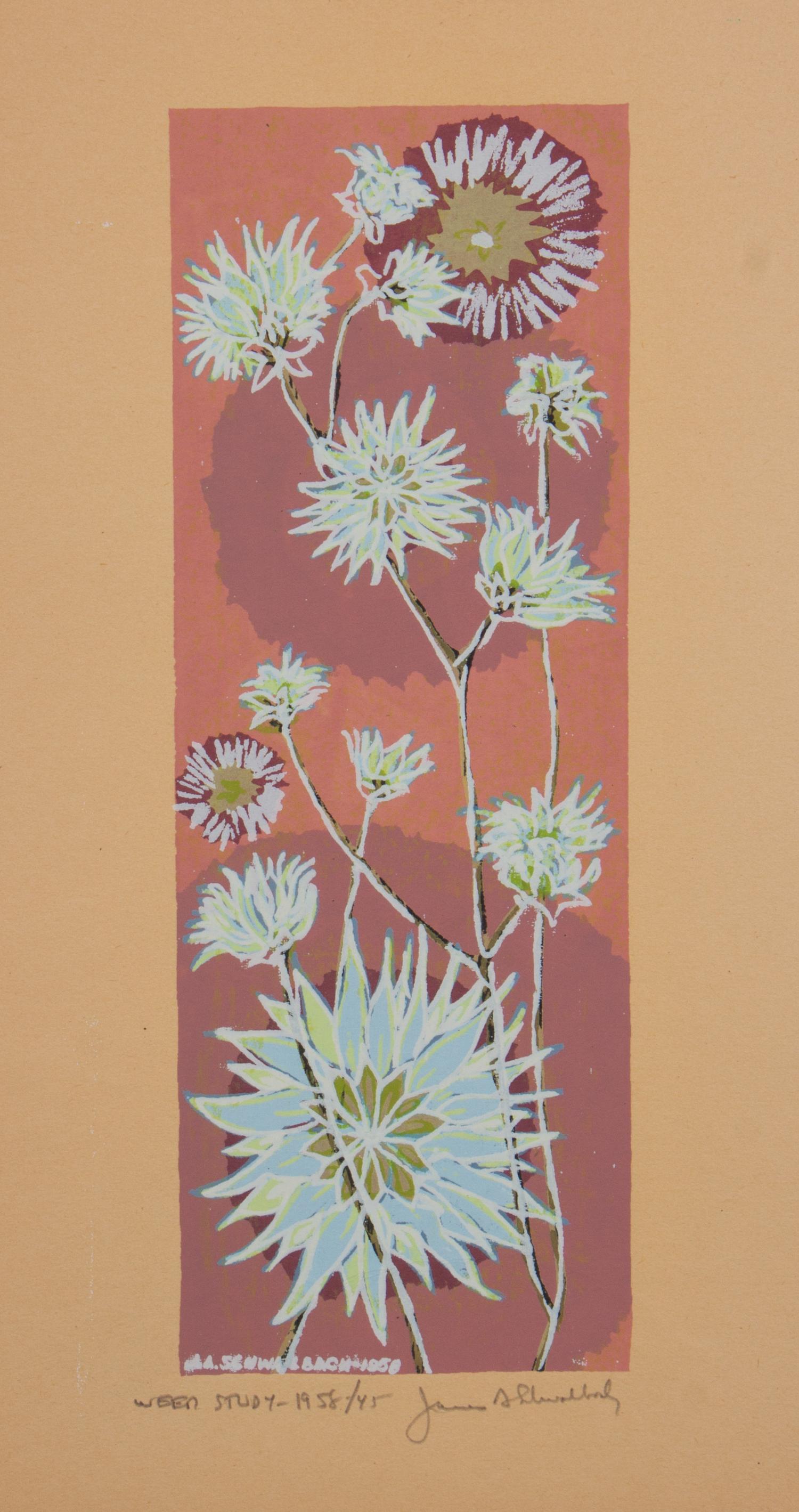 James Schwalbach, (Wisconsin, b. 1912), Weed Study, 1958 (a suite of twelve works)