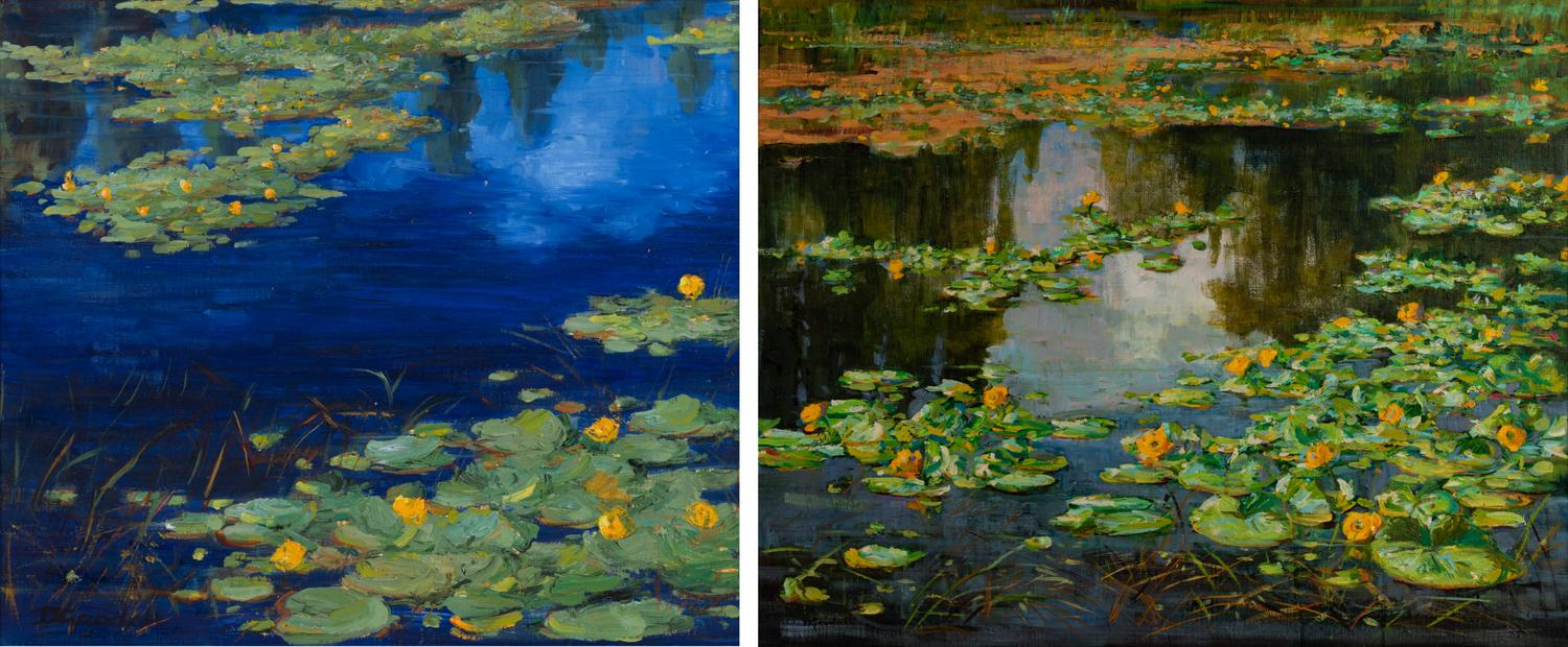 Two Works: Lily Pond and Hobac Marshes
