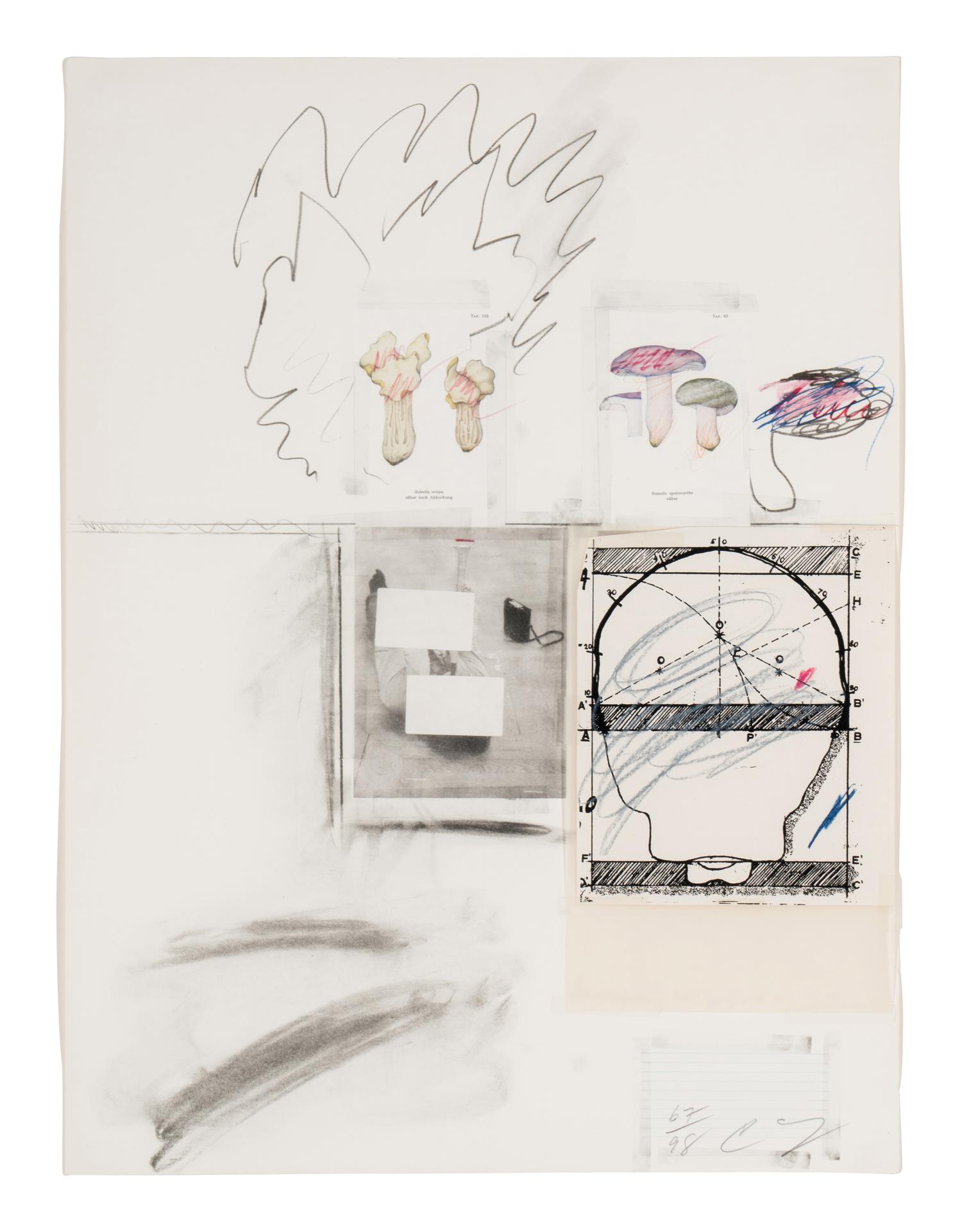 No. 2 (from Natural History, Part I, Mushrooms ), 1974