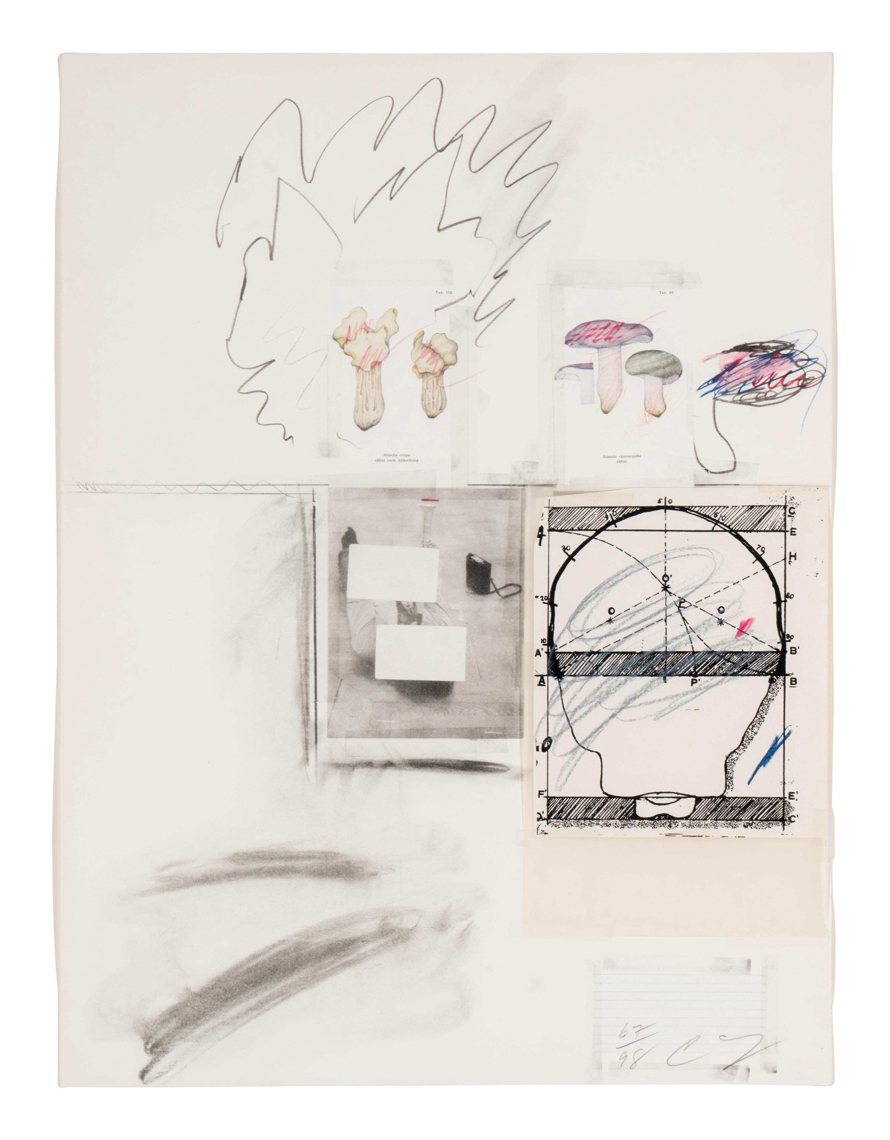 No. 2 (from Natural History, Part I, Mushrooms ), 1974