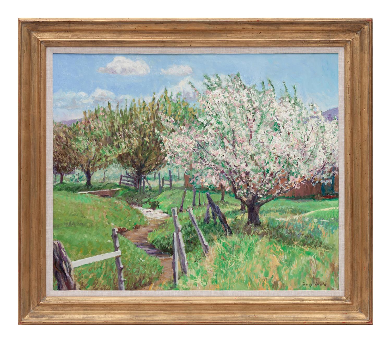 Taos Apple Blossoms