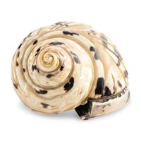 A Silver Mounted Shell Form Snuff Box