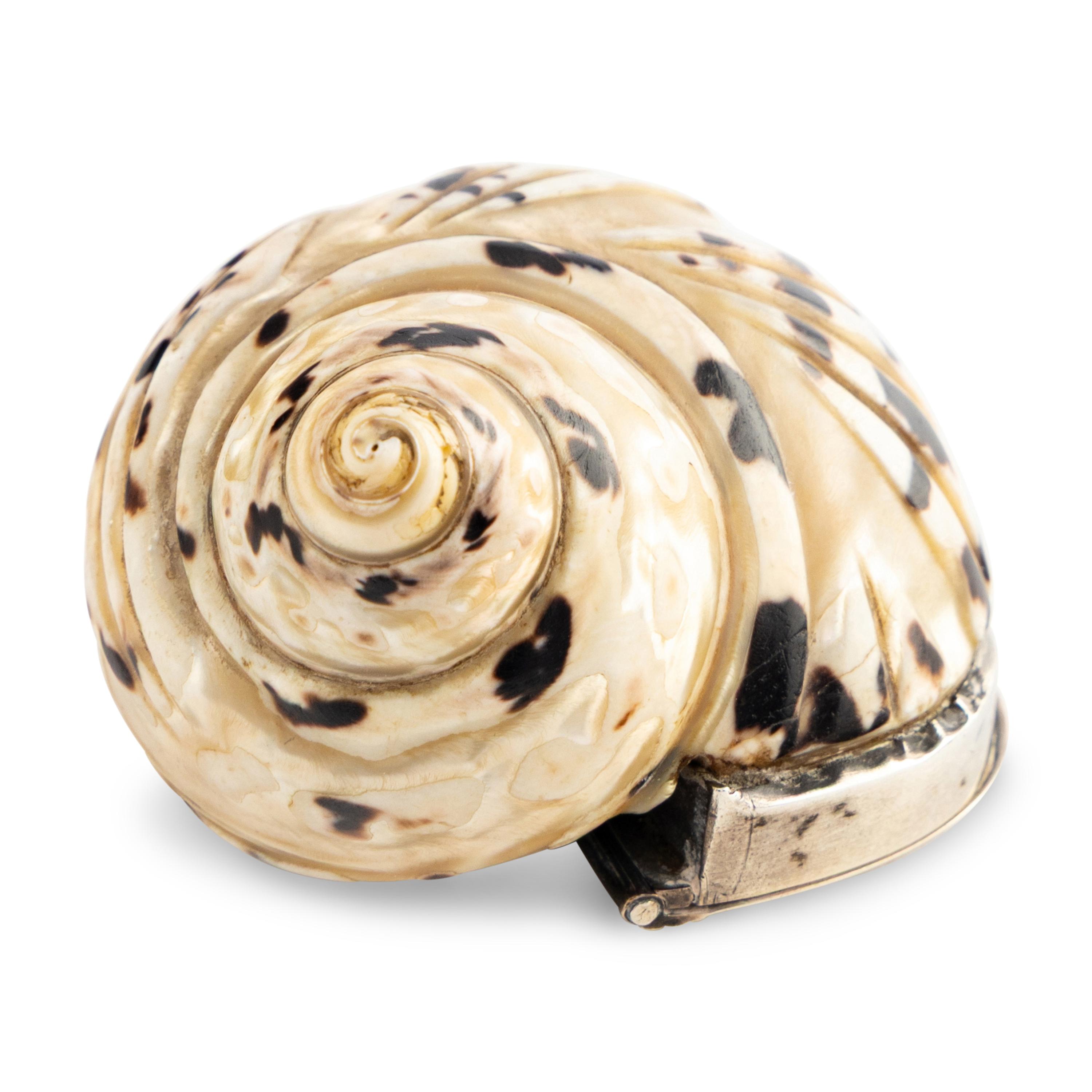 A Silver Mounted Shell Form Snuff Box