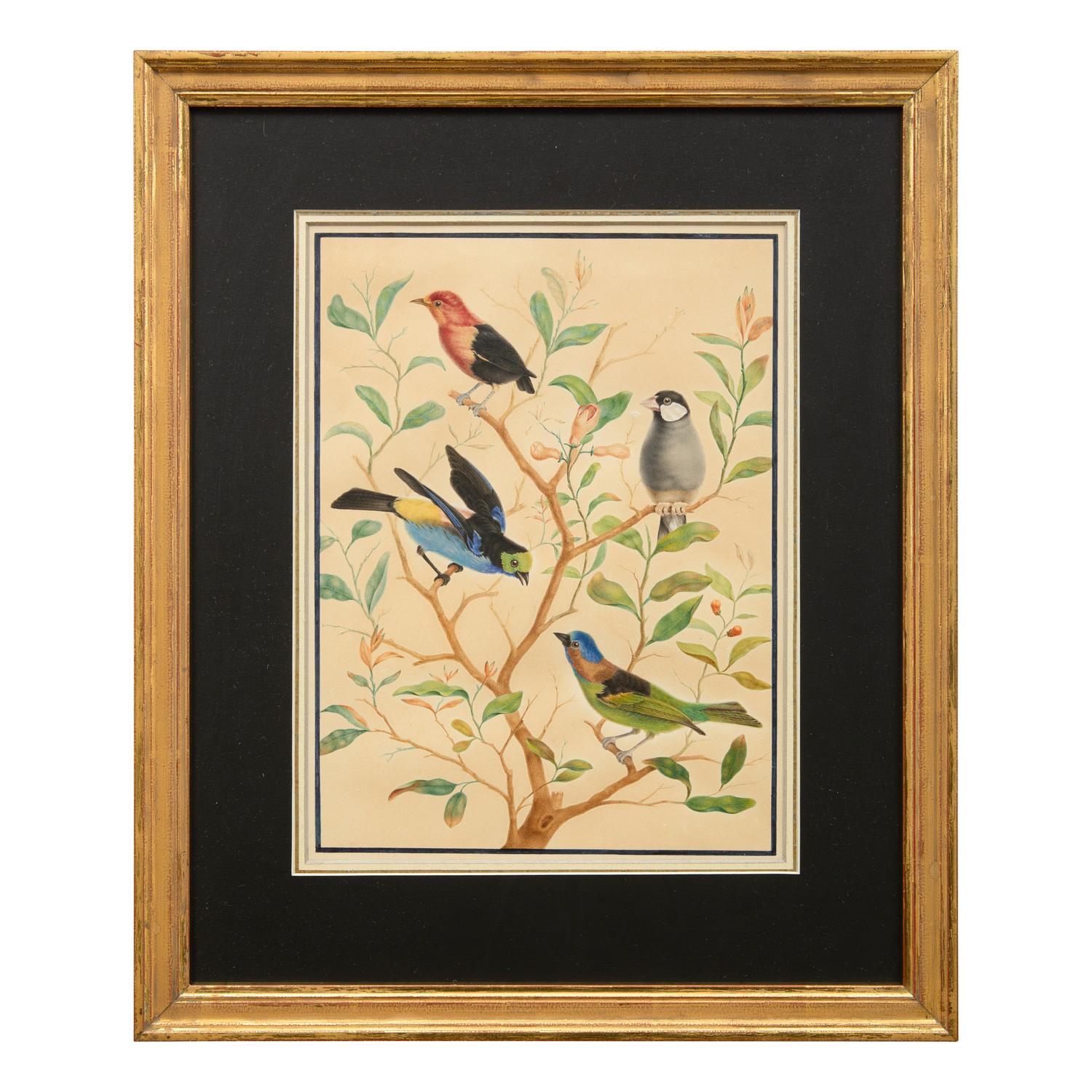 A Group of Three Framed Gouache Illustrations of Birds