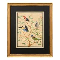 A Group of Three Framed Gouache Illustrations of Birds