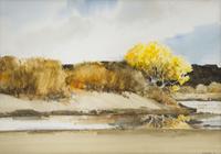 Morris Conrad Rippel, (American, 1930-2009), River Reflections
