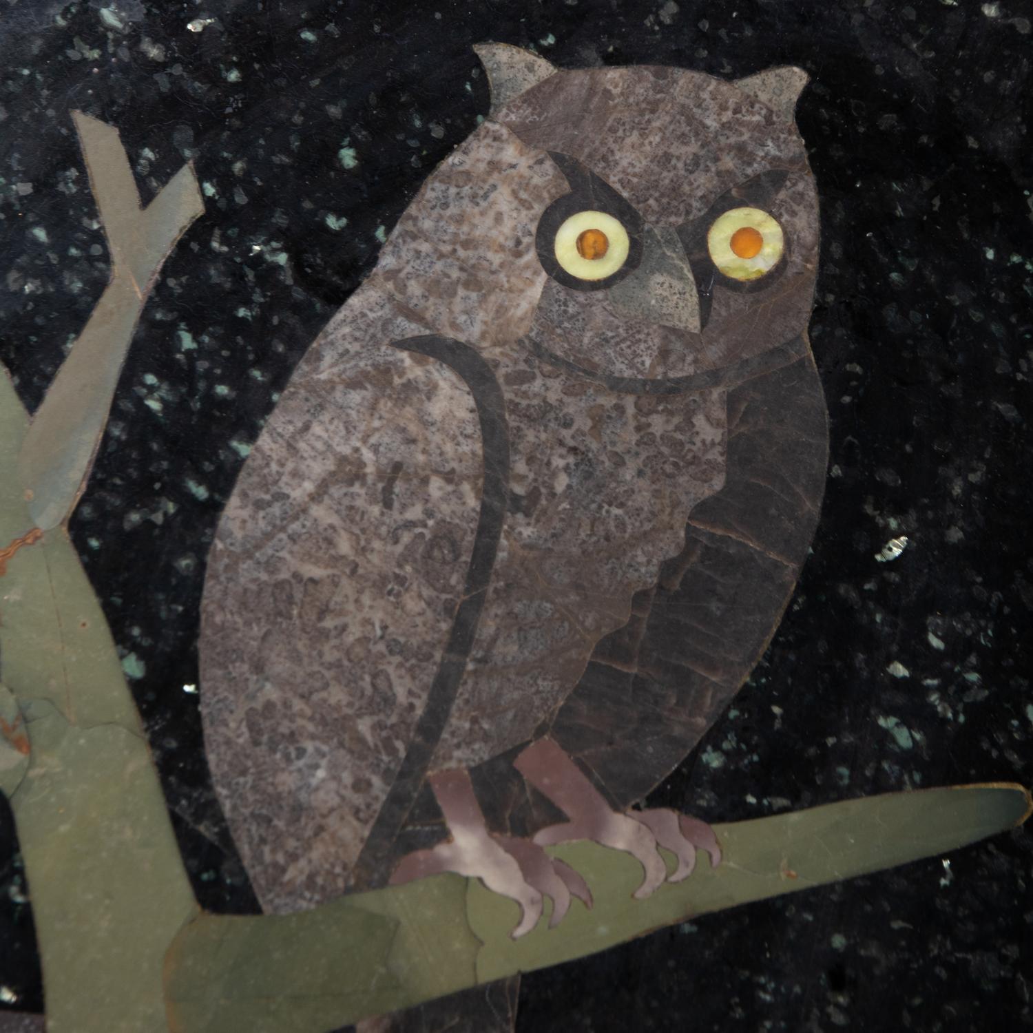 Untitled (Owl)