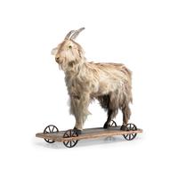 A Long Hair Sheep Child’s Pull Toy with Glass Eyes
