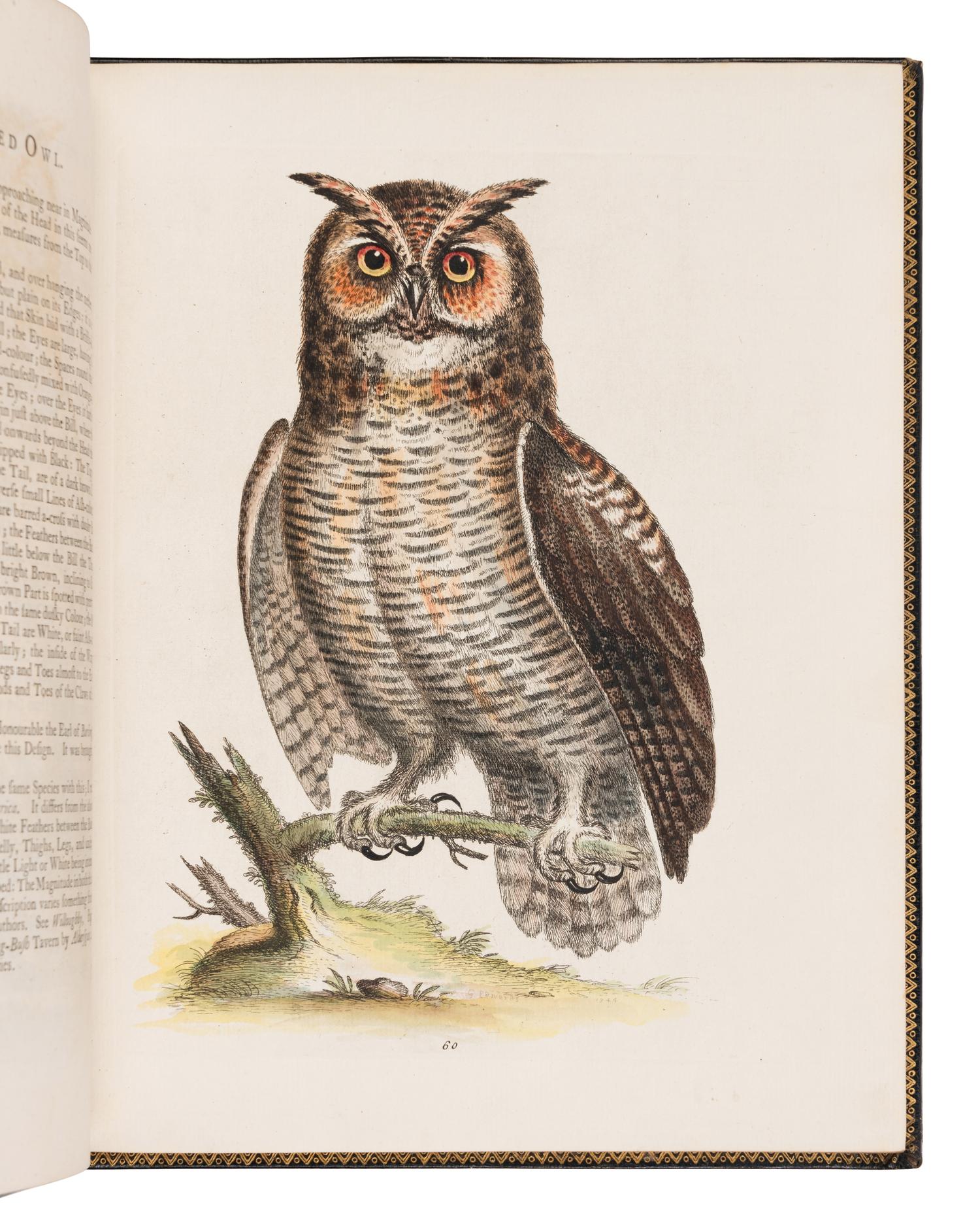 [NATURAL HISTORY]. EDWARDS, George (1694-1773). A Natural History of Uncommon Birds ... London: for the author, [1743]-1751 [but ca 1776]. [ With :] Gleanings of Natural History ....London: for the Author, 1758-1764.