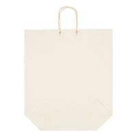 Andy Warhol (American, 1928-1987) — Campbell's Soup Can On Shopping Bag (Tomato) , 1966