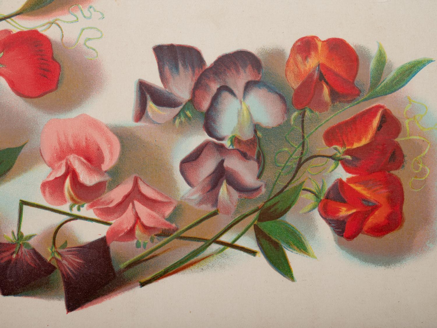 A Group of Four Prints