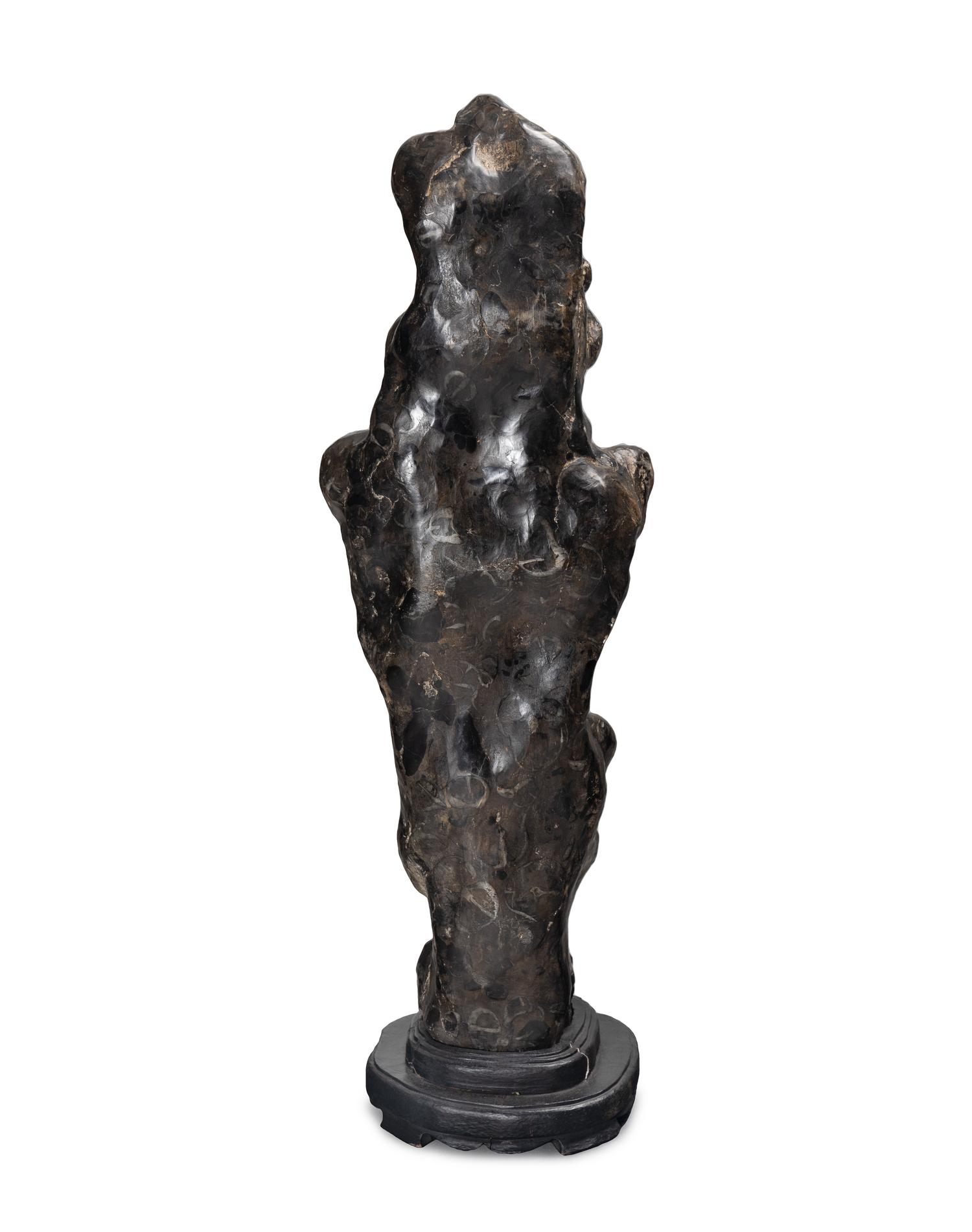 A Chinese Scholar's Rock