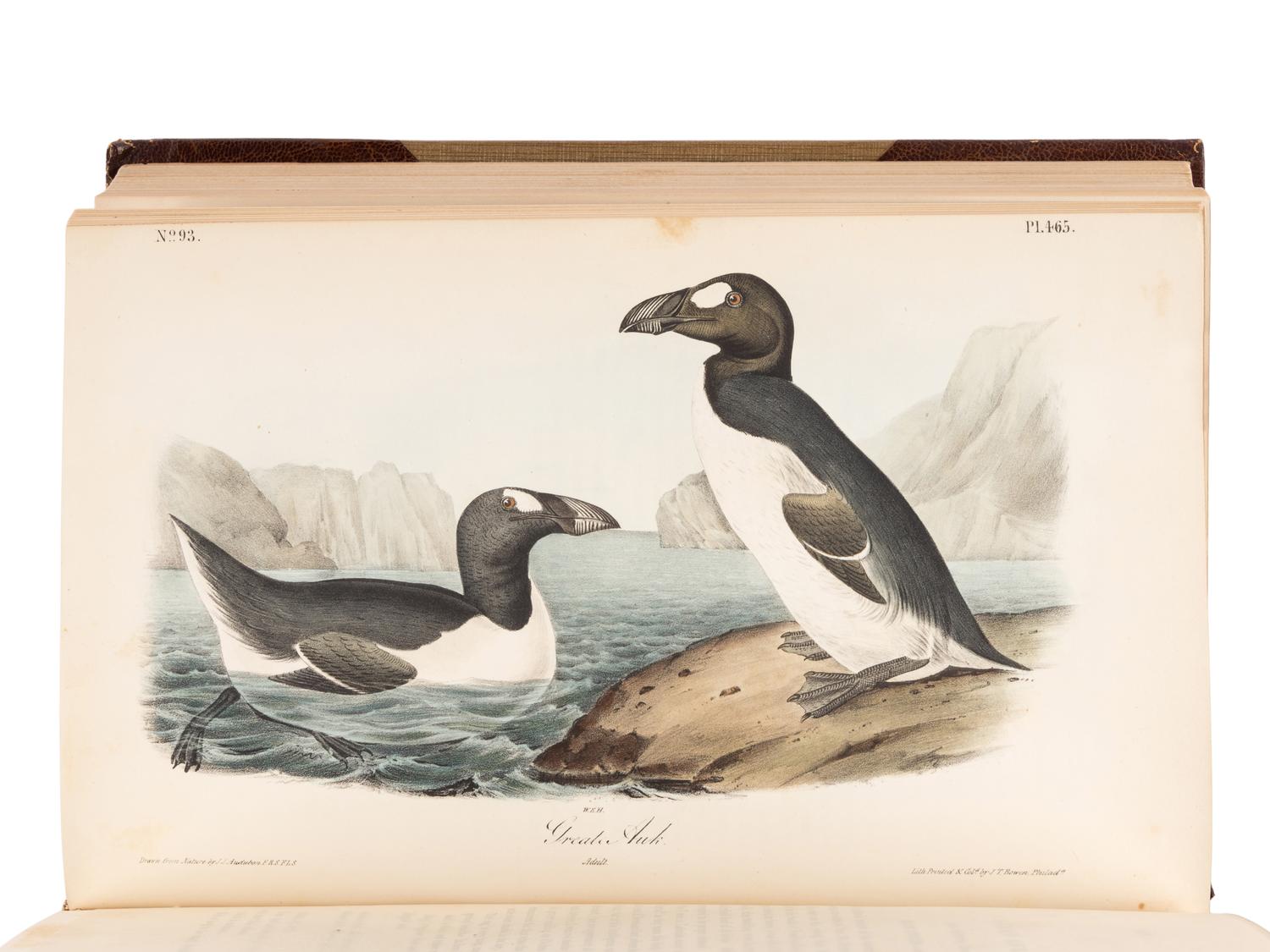 AUDUBON, John James (1785-1851). The Birds of America, from Drawings Made in the United States and their Territories . New York and Philadelphia: J.J. Audubon and J.B. Chevalier, [1839-] 1840-1844.