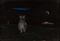 Night Owl